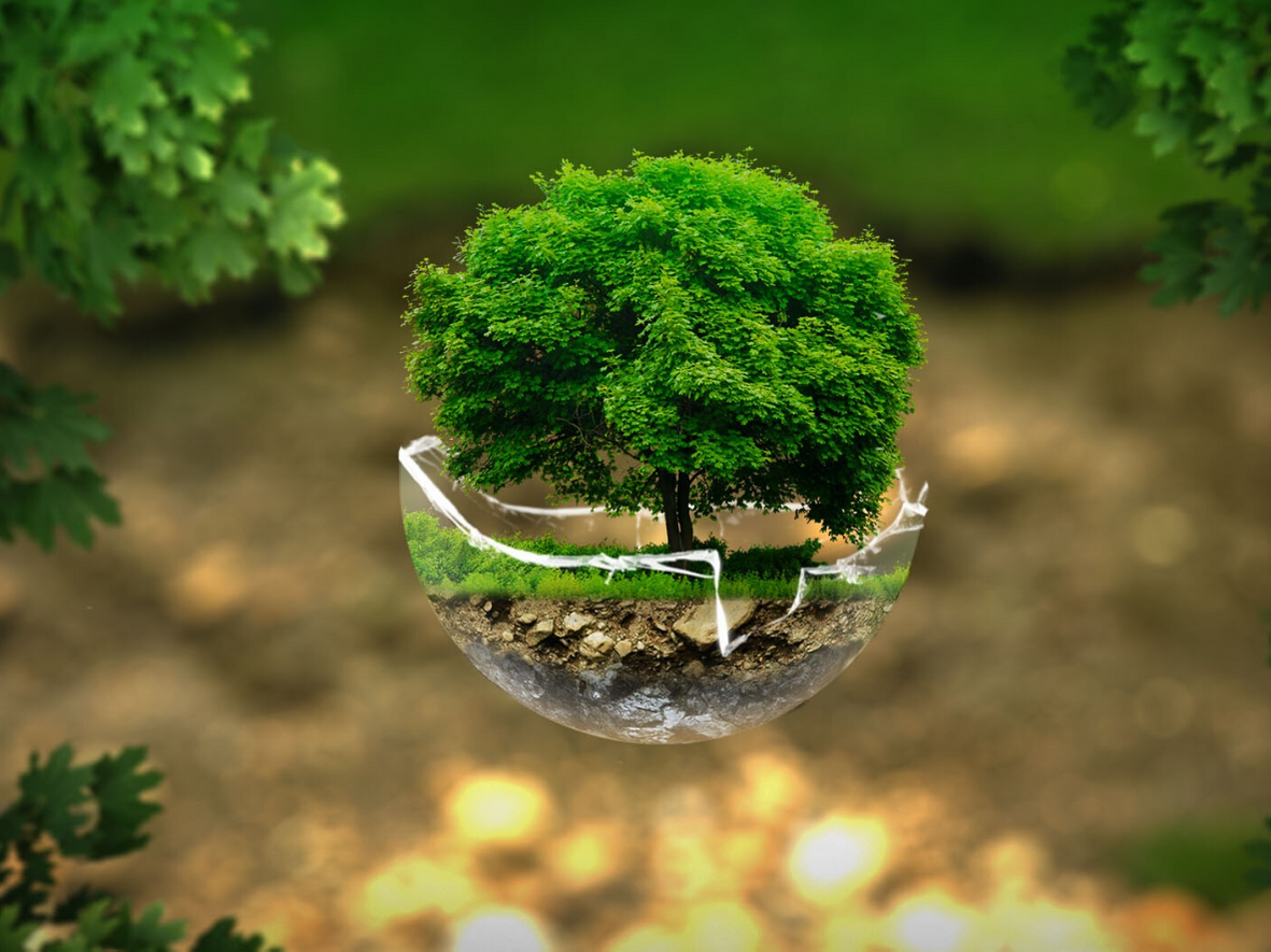 ISO 14001:2026 - ZOZNÁMENIE SA S POŽIADAVKAMI NORMY