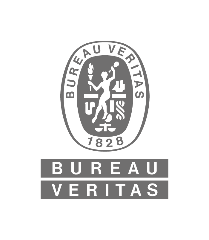 Bureau Veritas Training